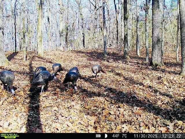 269 W Pleasant Valley Rd., Greenbrier, AR 72058