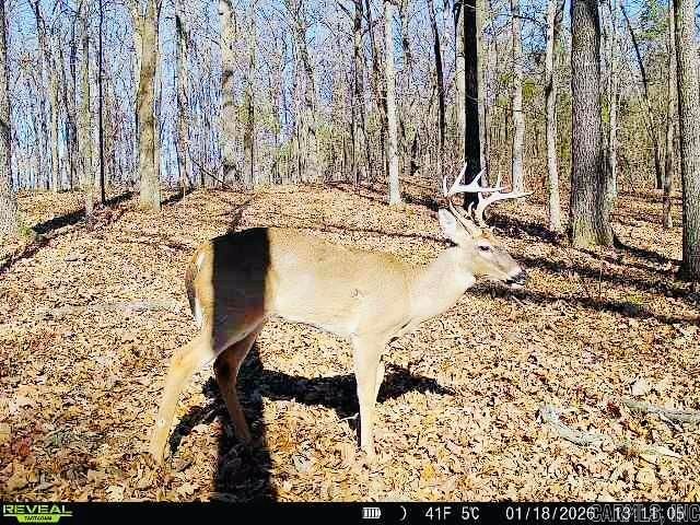 269 W Pleasant Valley Rd., Greenbrier, AR 72058