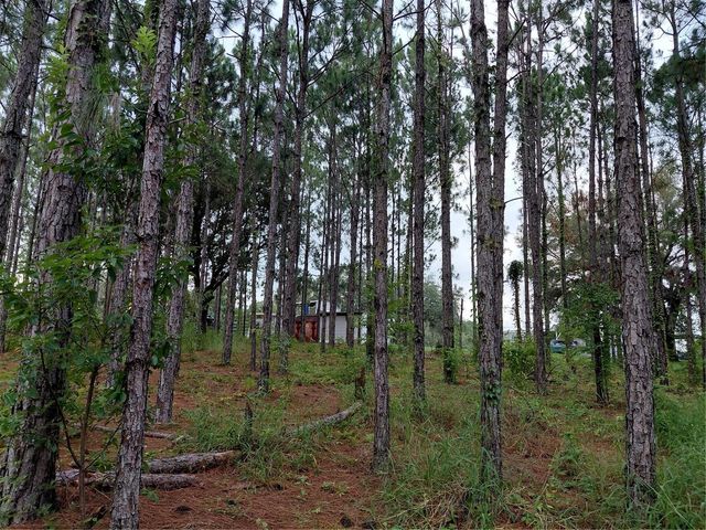 14240 LOST LAKE ROAD, Clermont, FL 34711