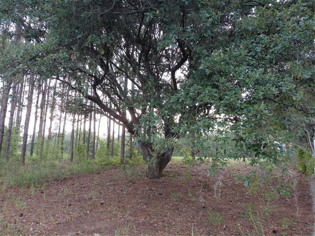 14240 LOST LAKE ROAD, Clermont, FL 34711