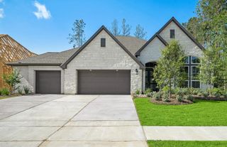 15724 Dandelion Dreams Street, Conroe, TX 77302