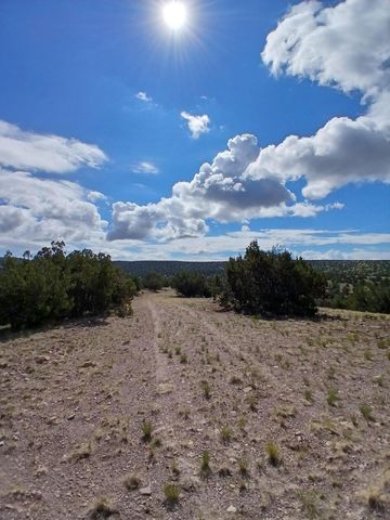 S Spirit Way, Magdalena, NM 87825