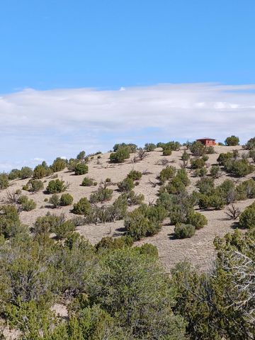 S Spirit Way, Magdalena, NM 87825