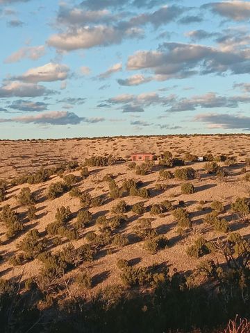 S Spirit Way, Magdalena, NM 87825