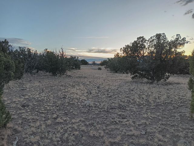 S Spirit Way, Magdalena, NM 87825
