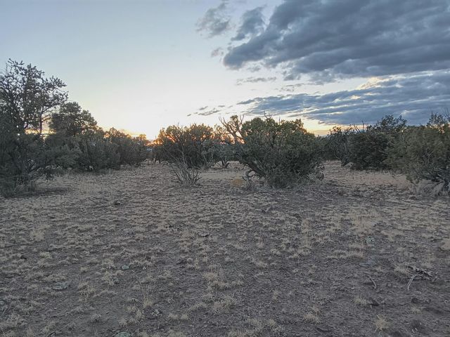 S Spirit Way, Magdalena, NM 87825