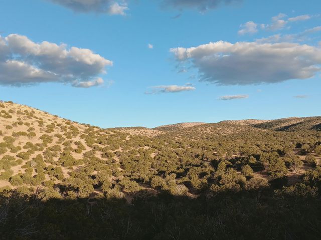 S Spirit Way, Magdalena, NM 87825