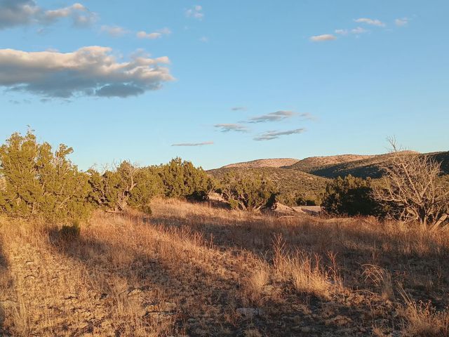 S Spirit Way, Magdalena, NM 87825