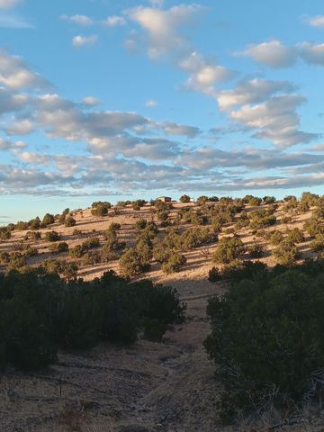 S Spirit Way, Magdalena, NM 87825