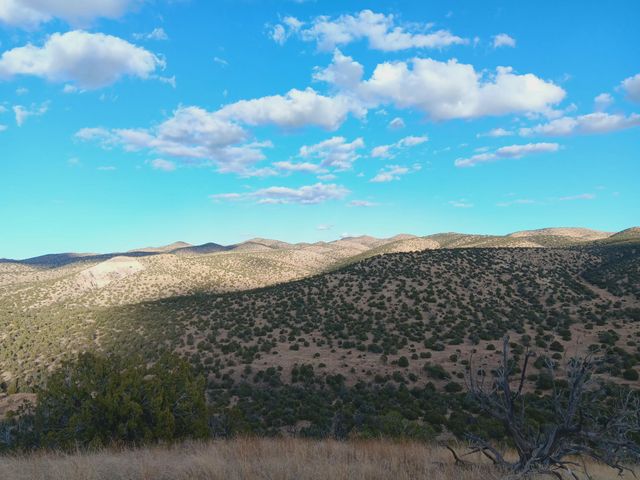 S Spirit Way, Magdalena, NM 87825