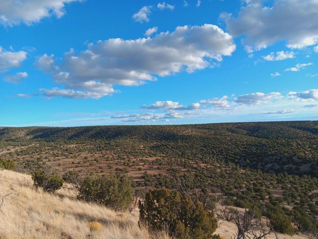 S Spirit Way, Magdalena, NM 87825