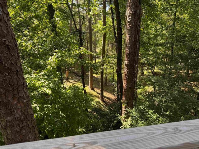 305 Ramble St, Hot Springs, AR 71901