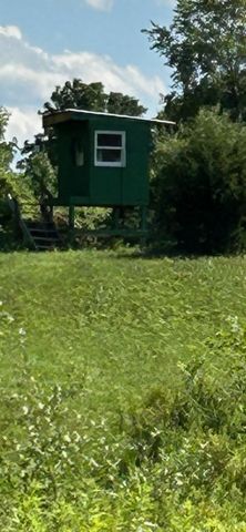 19495 V Drive N, Olivet, MI 49076