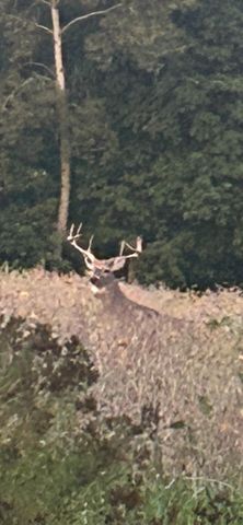 19495 V Drive N, Olivet, MI 49076