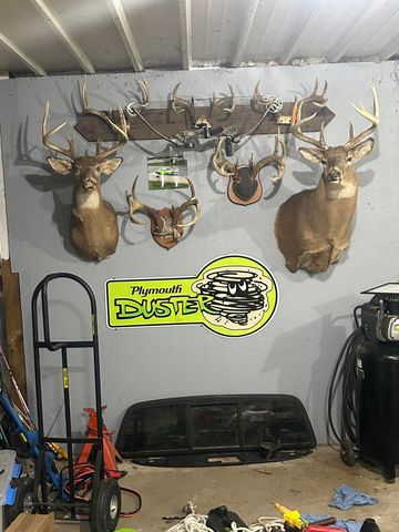 19495 V Drive N, Olivet, MI 49076