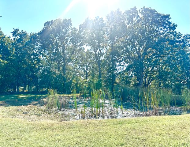 458 County Road 639, Theodosia, MO 65761