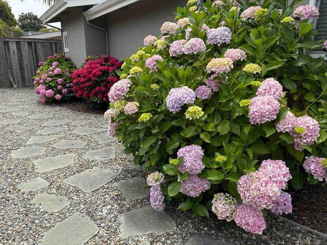 522 Spruce Street, Aptos, CA 95003