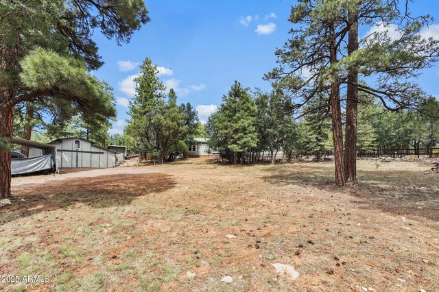 1875 Short Street, Happy Jack, AZ 86024