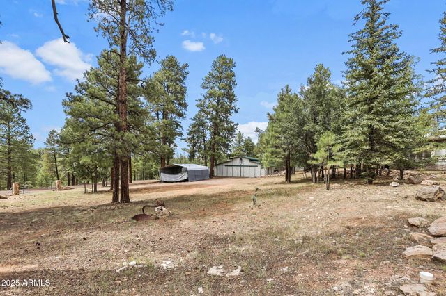 1875 Short Street, Happy Jack, AZ 86024