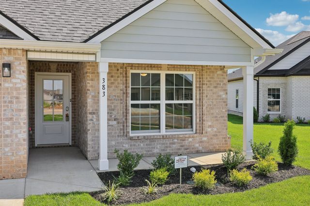 383 Kingland Ln, Clarksville, TN 37043