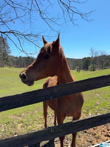 3436 BLACKRIDGE CIRCLE, Hoover, AL 35244