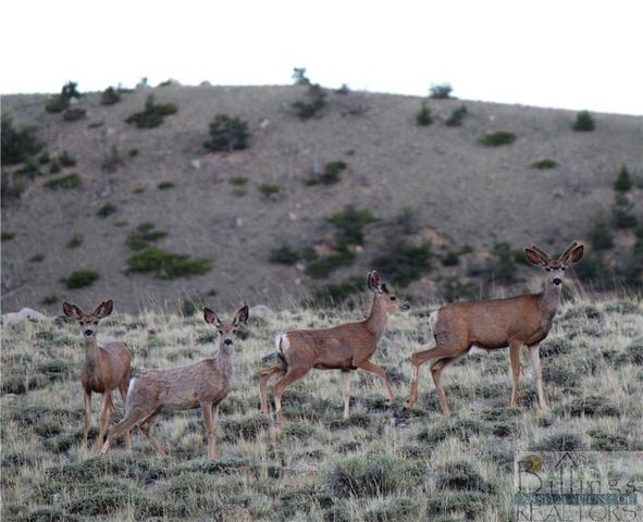 TBD Stagecoach Spur W, Belfry, MT 59008