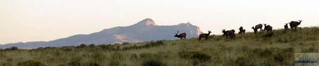 TBD Stagecoach Spur W, Belfry, MT 59008