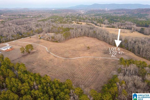 Lot 6 CEDAR SPRINGS DRIVE, Jacksonville, AL 36265