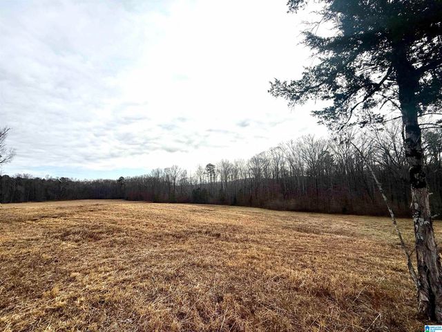 Lot 6 CEDAR SPRINGS DRIVE, Jacksonville, AL 36265