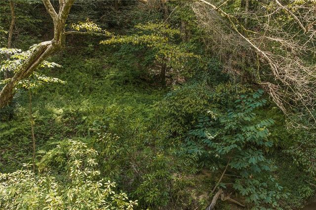 0 Hicks Ford Road, Ellijay, GA 30540