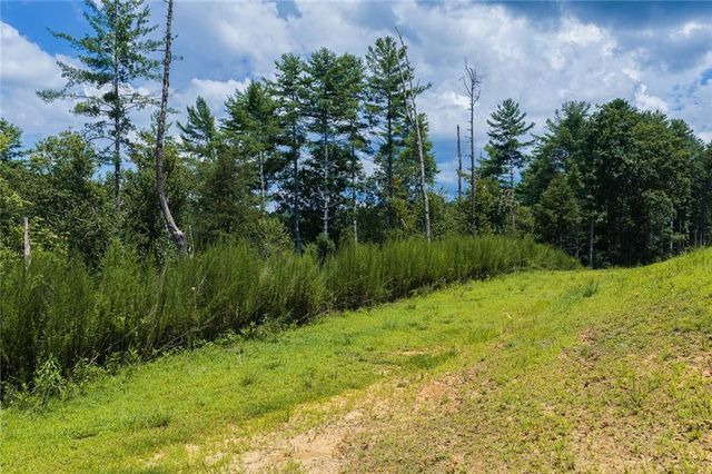 0 Hicks Ford Road, Ellijay, GA 30540