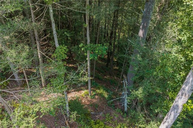0 Hicks Ford Road, Ellijay, GA 30540