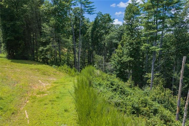 0 Hicks Ford Road, Ellijay, GA 30540