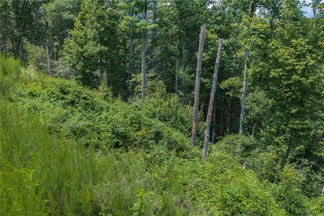 0 Hicks Ford Road, Ellijay, GA 30540