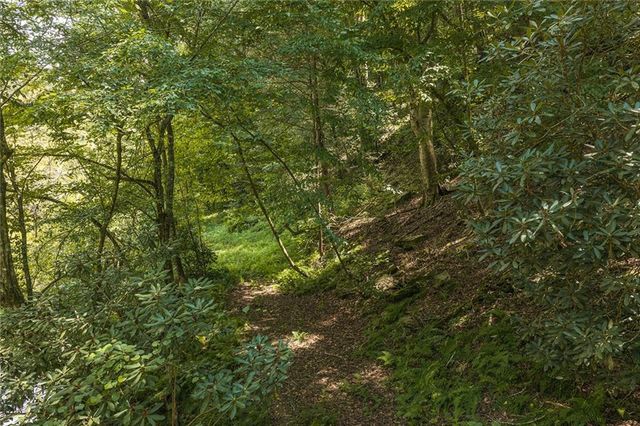 0 Hicks Ford Road, Ellijay, GA 30540