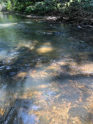 0 Hicks Ford Road, Ellijay, GA 30540