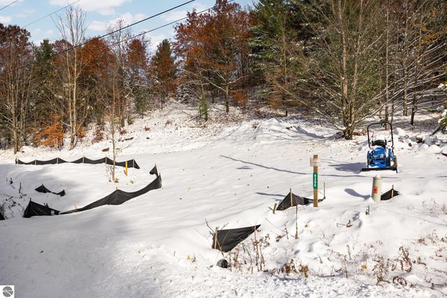 9394 E Hoxie Road, Cedar, MI 49621