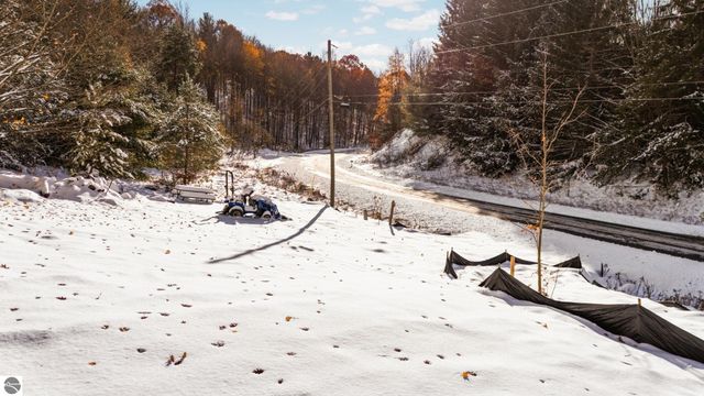 9394 E Hoxie Road, Cedar, MI 49621