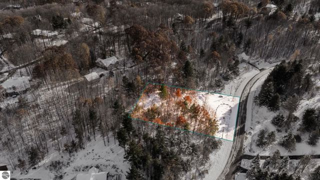 9394 E Hoxie Road, Cedar, MI 49621