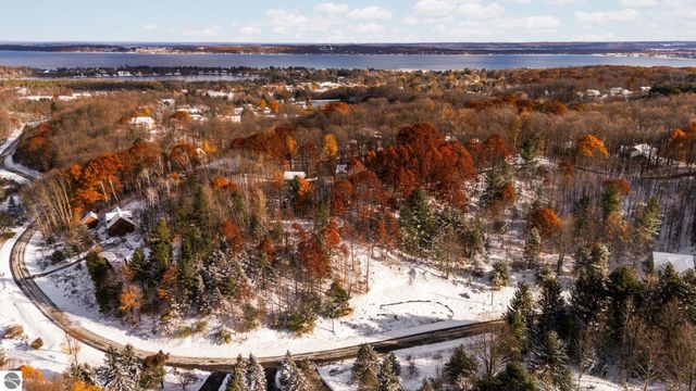 9394 E Hoxie Road, Cedar, MI 49621