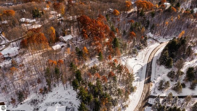 9394 E Hoxie Road, Cedar, MI 49621