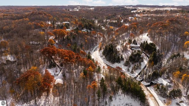 9394 E Hoxie Road, Cedar, MI 49621