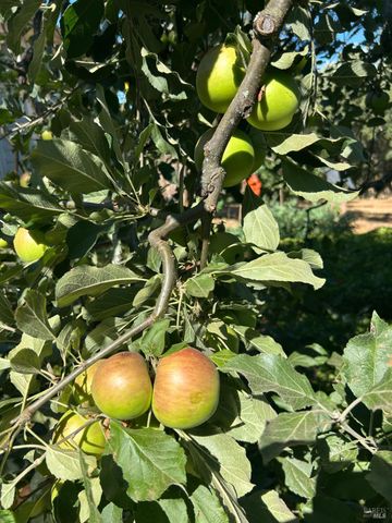 2400 Nelligan Rd, Glen Ellen, CA 95442