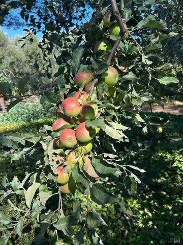 2400 Nelligan Rd, Glen Ellen, CA 95442