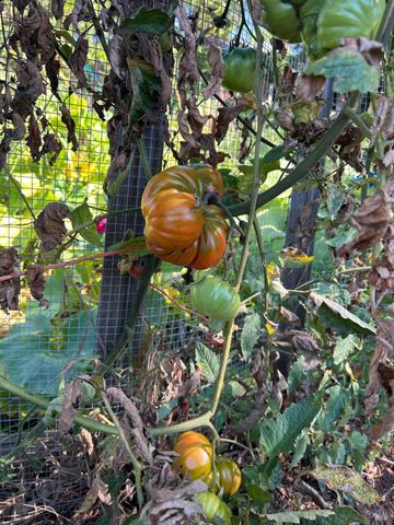 2400 Nelligan Rd, Glen Ellen, CA 95442