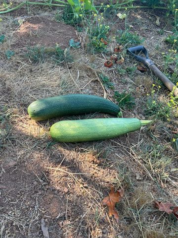 2400 Nelligan Rd, Glen Ellen, CA 95442