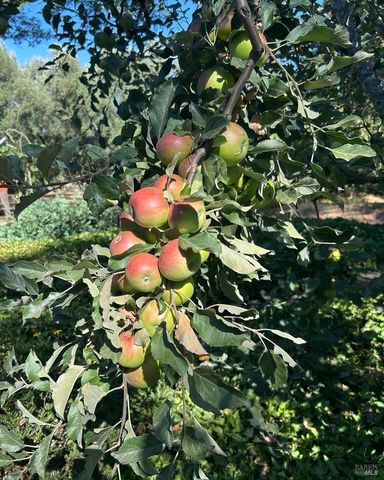 2400 Nelligan Rd, Glen Ellen, CA 95442