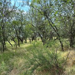 Tract 19 CR 150, Abilene, TX 79601