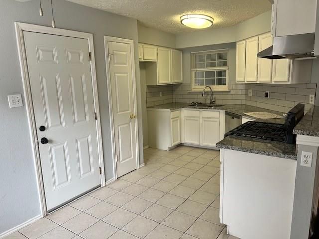 24010 Lone Elm Drive, Spring, TX 77373