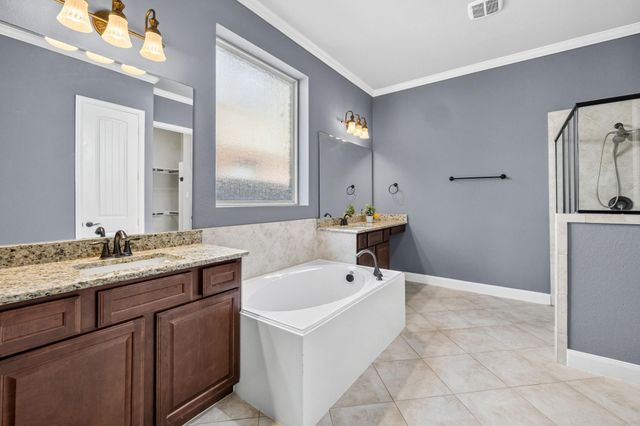 13407 Cameron Reach Drive, Tomball, TX 77377
